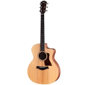Taylor 14ce Grand Auditorium - Natural